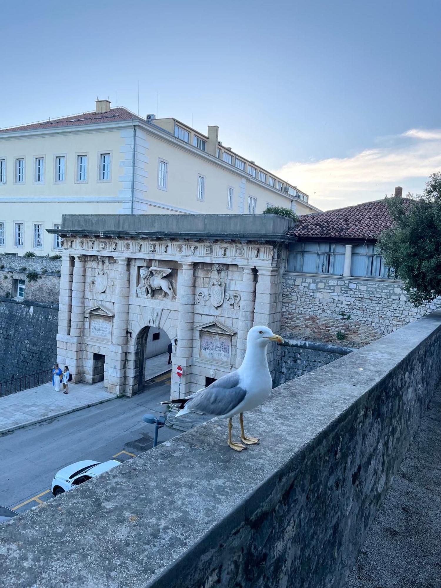 Luxury Majpruz Suites Zadar Exterior photo